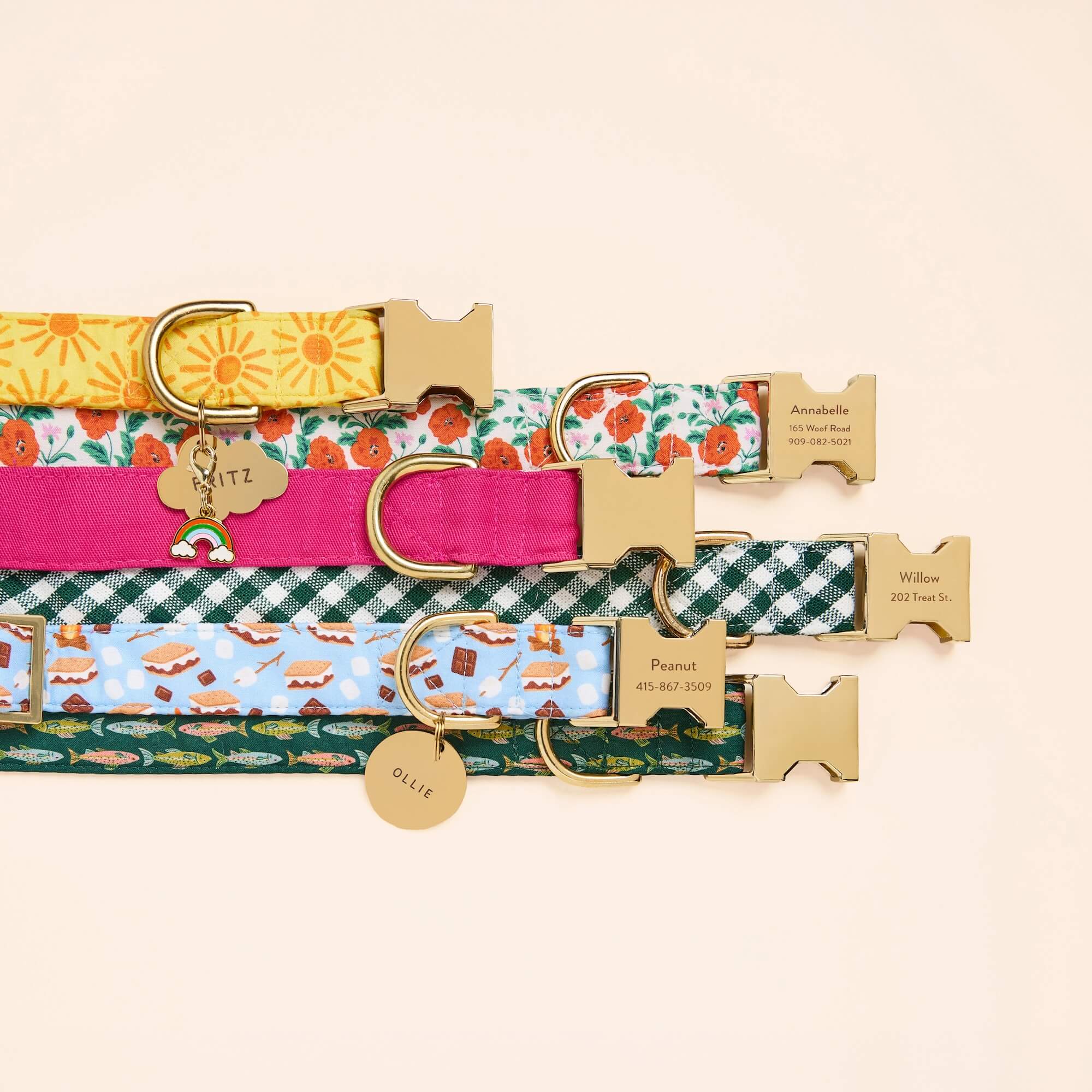 Here Comes the Sun Dog Collar