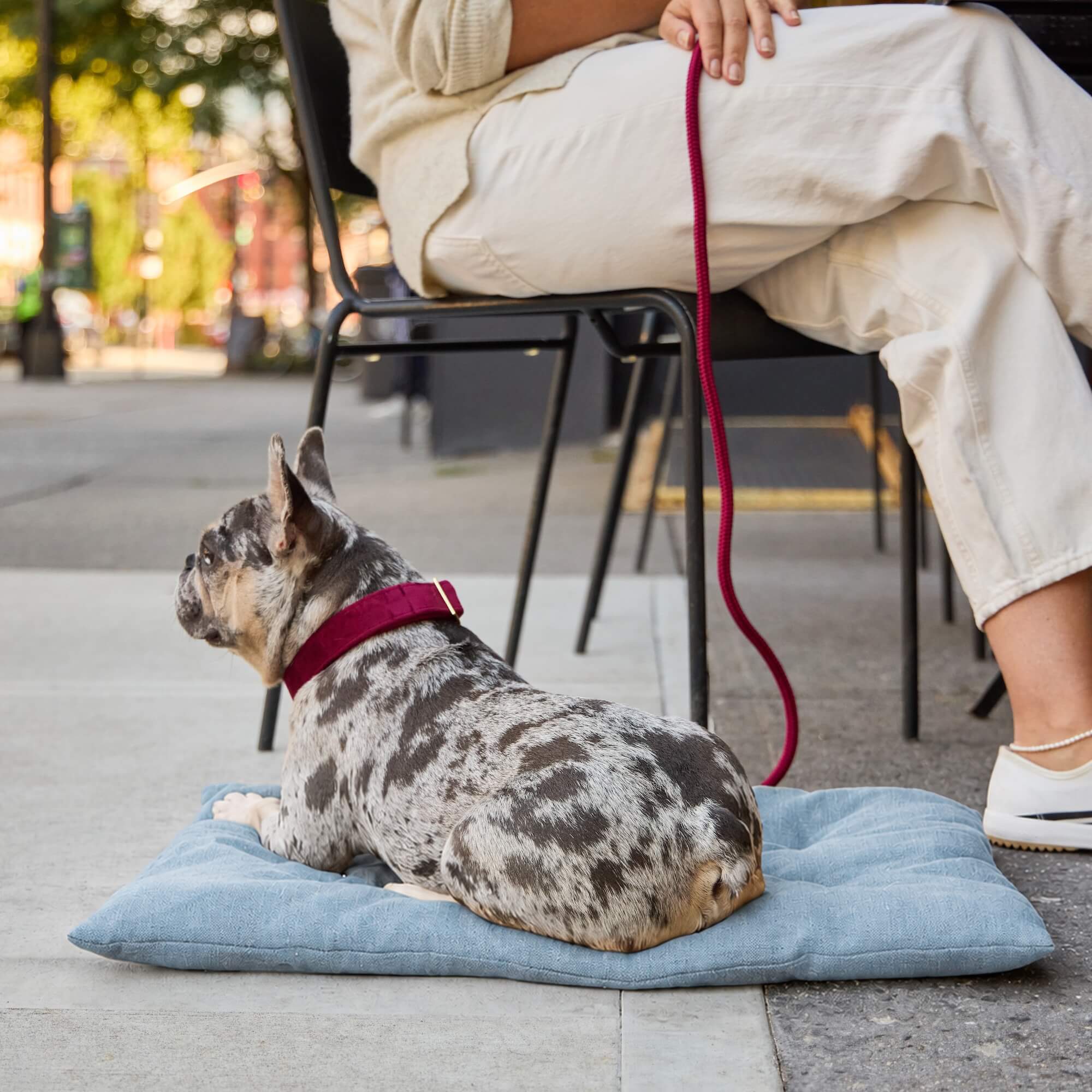 Chambray Blue Dog Travel Mat