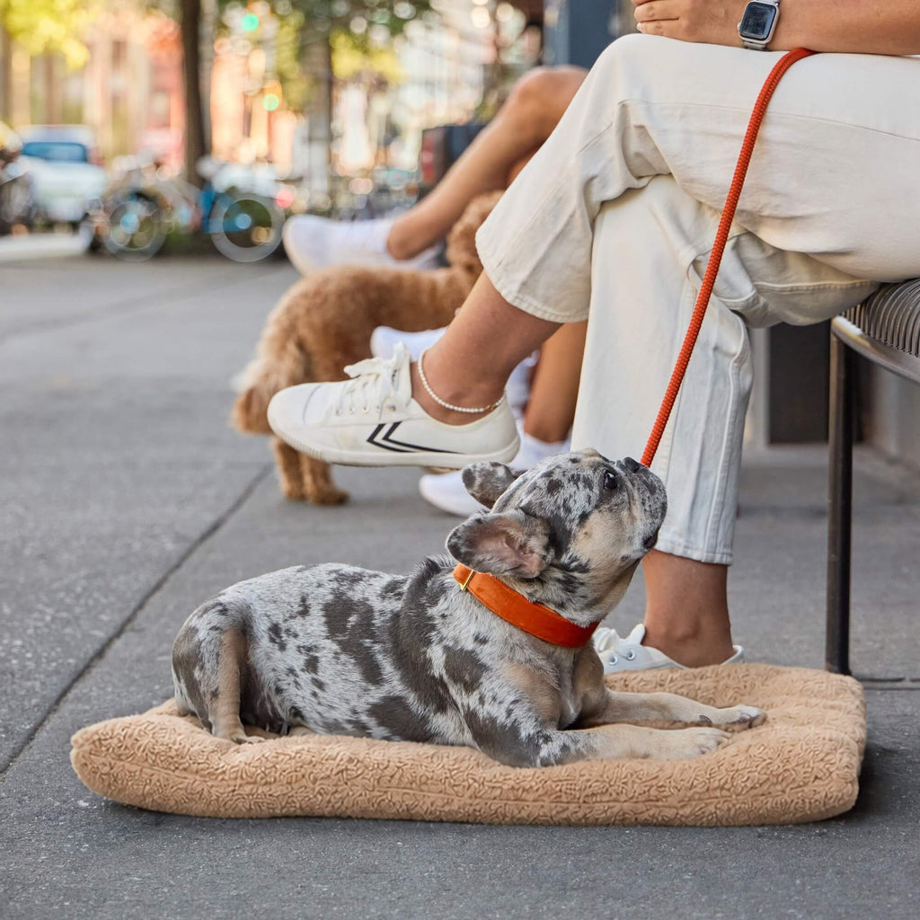 Latte Recycled Sherpa Dog Travel Mat