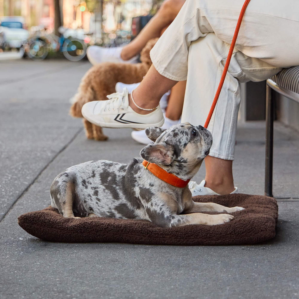 Chocolate Recycled Sherpa Bolster Dog Bed