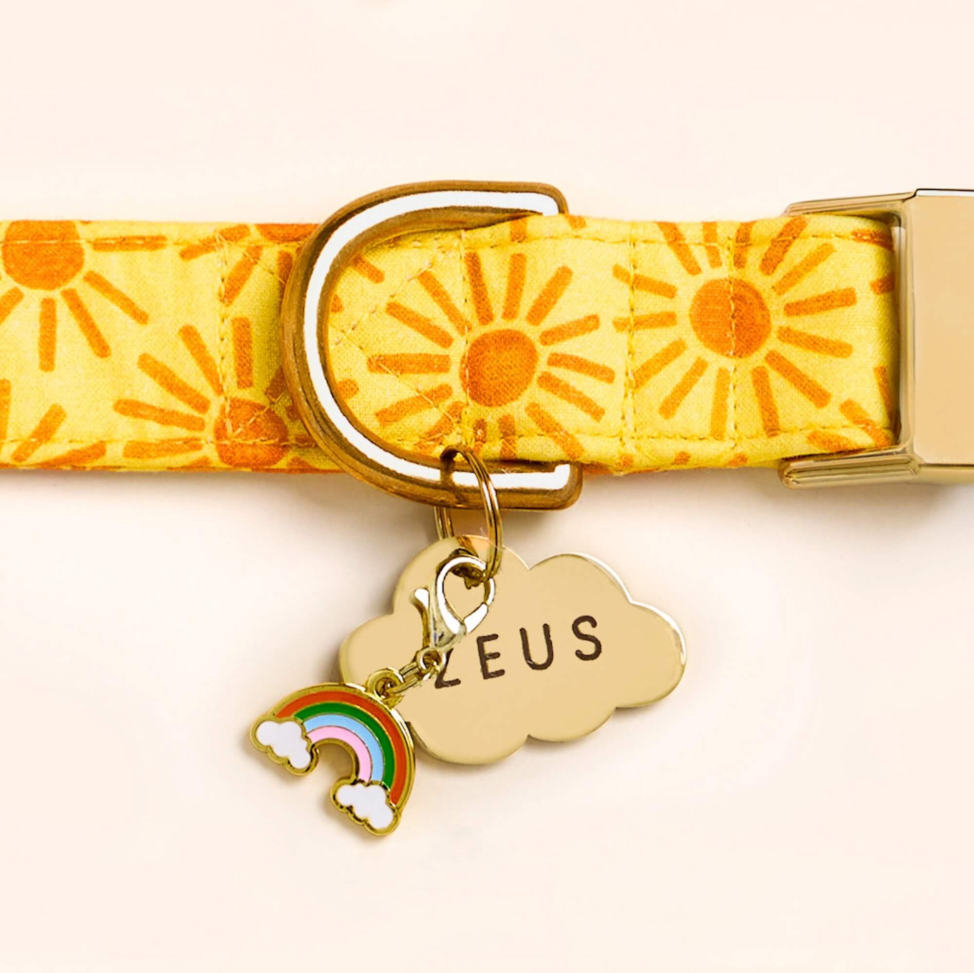 Here Comes the Sun Dog Collar
