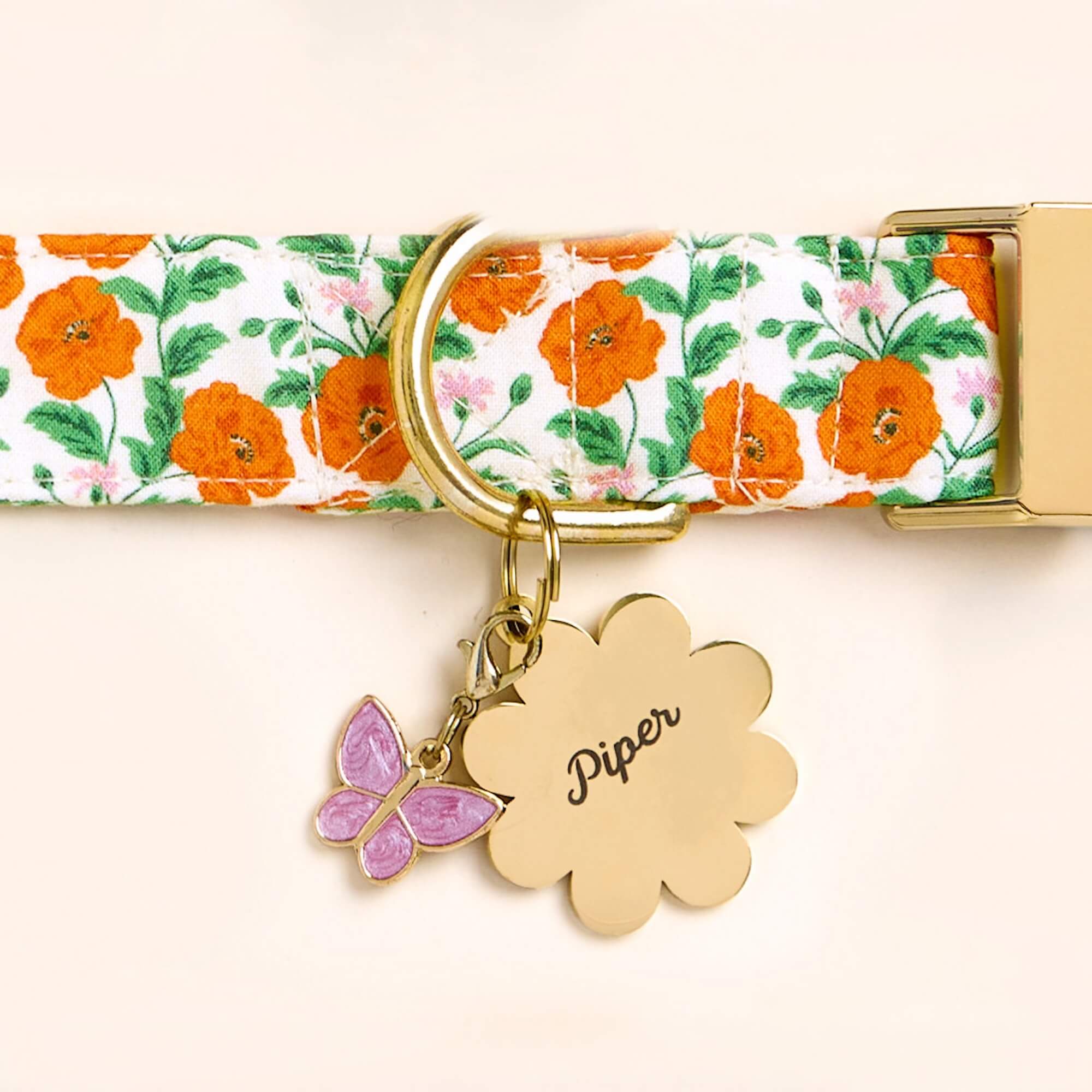 Golden Poppies Dog Collar