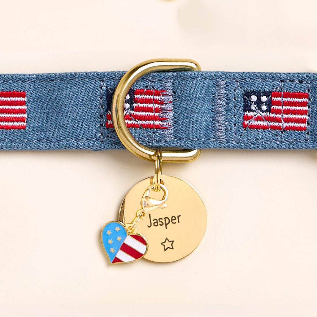 American Flag Embroidered Dog Collar