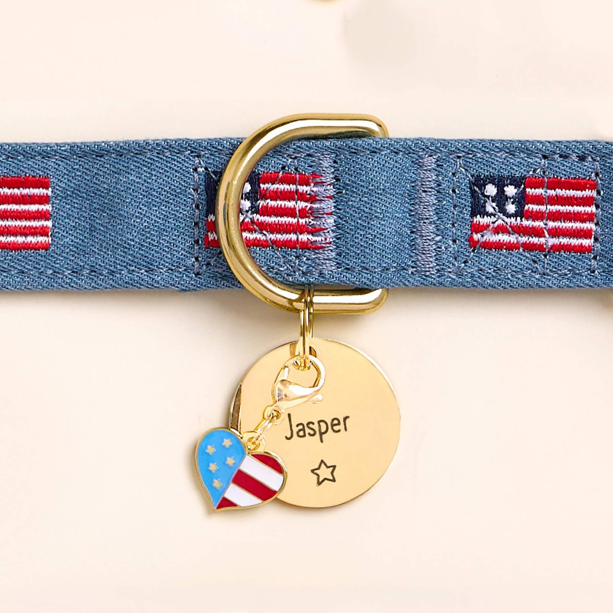 American Flag Embroidered Dog Collar