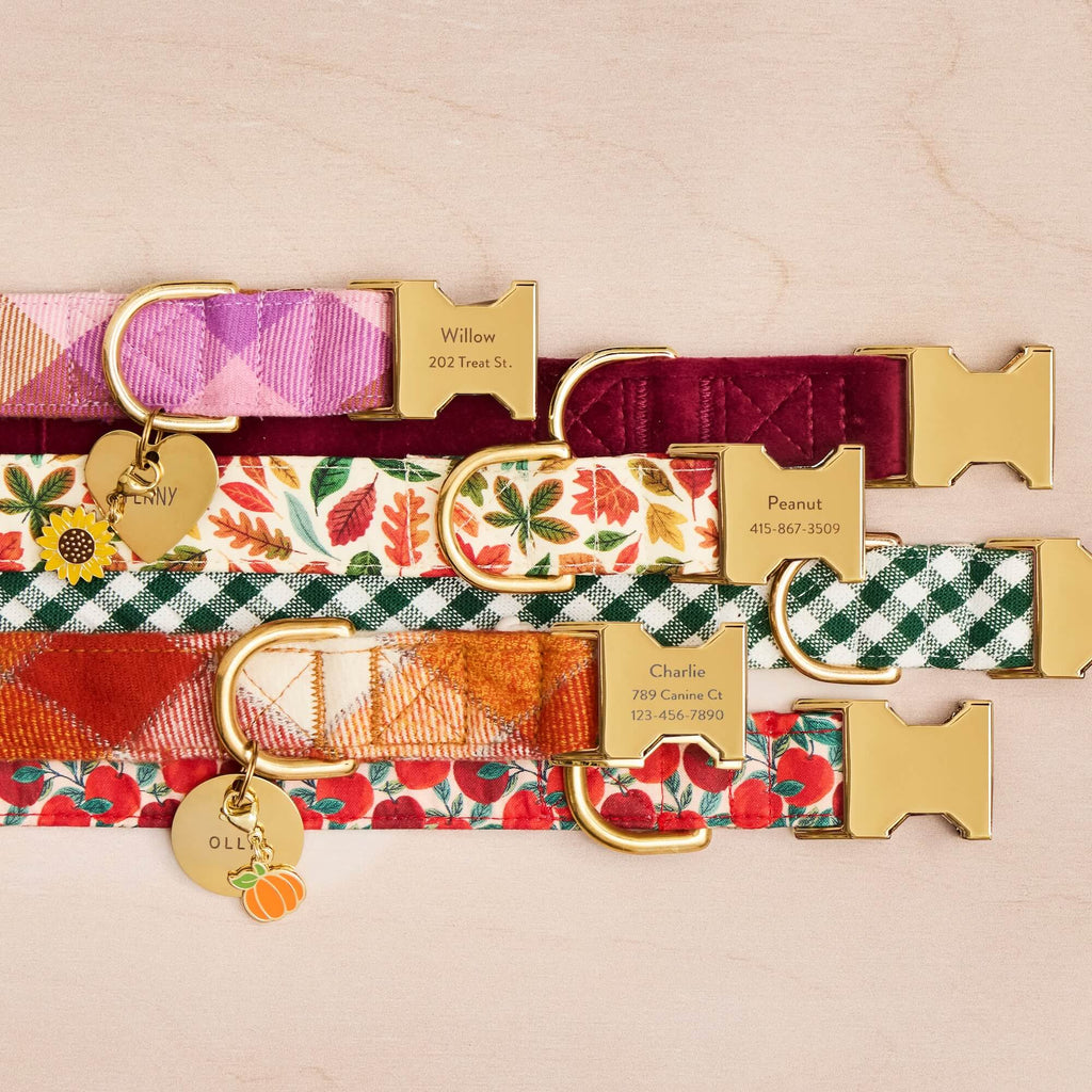 Burgundy Velvet Dog Collar