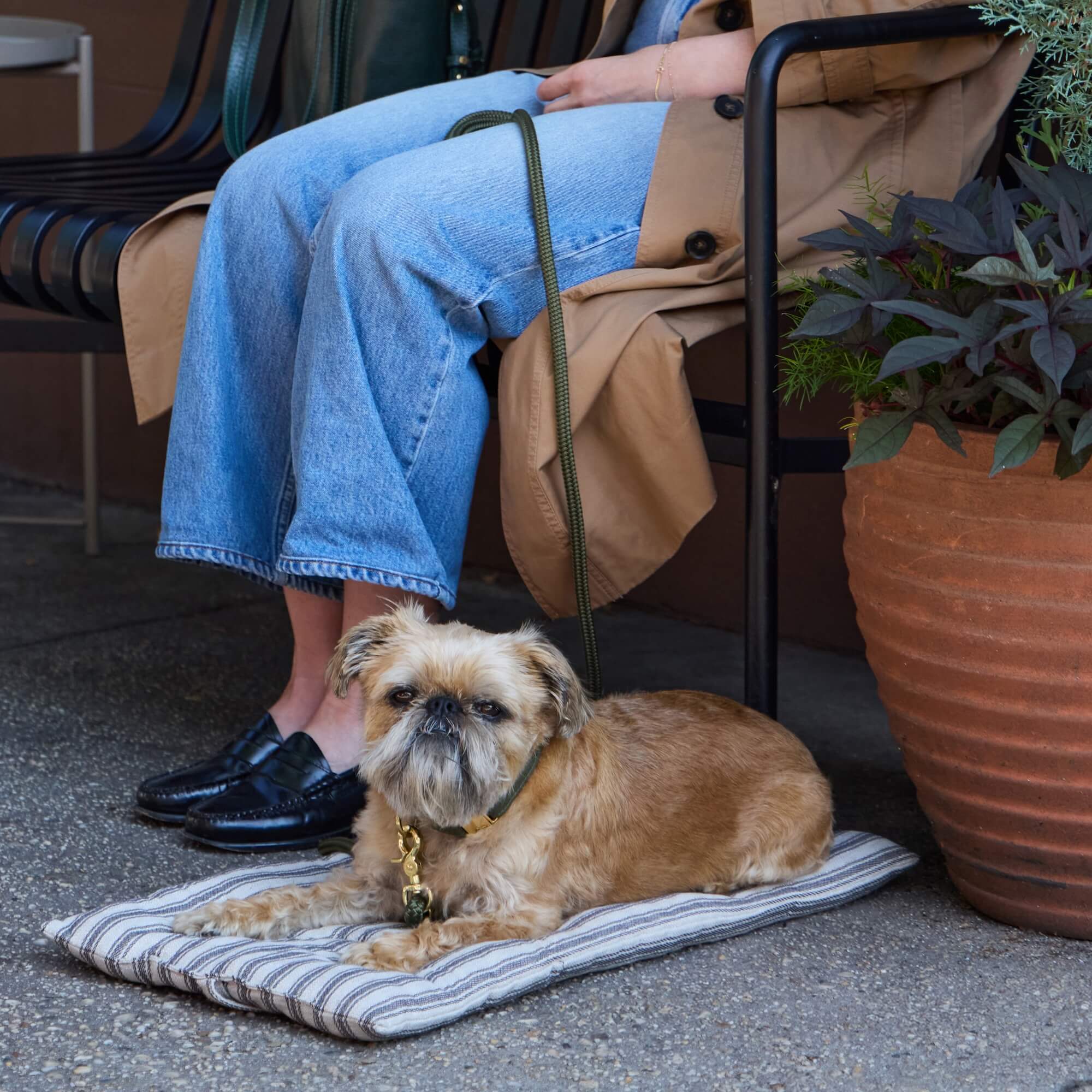 Ticking Stripe Dog Travel Mat