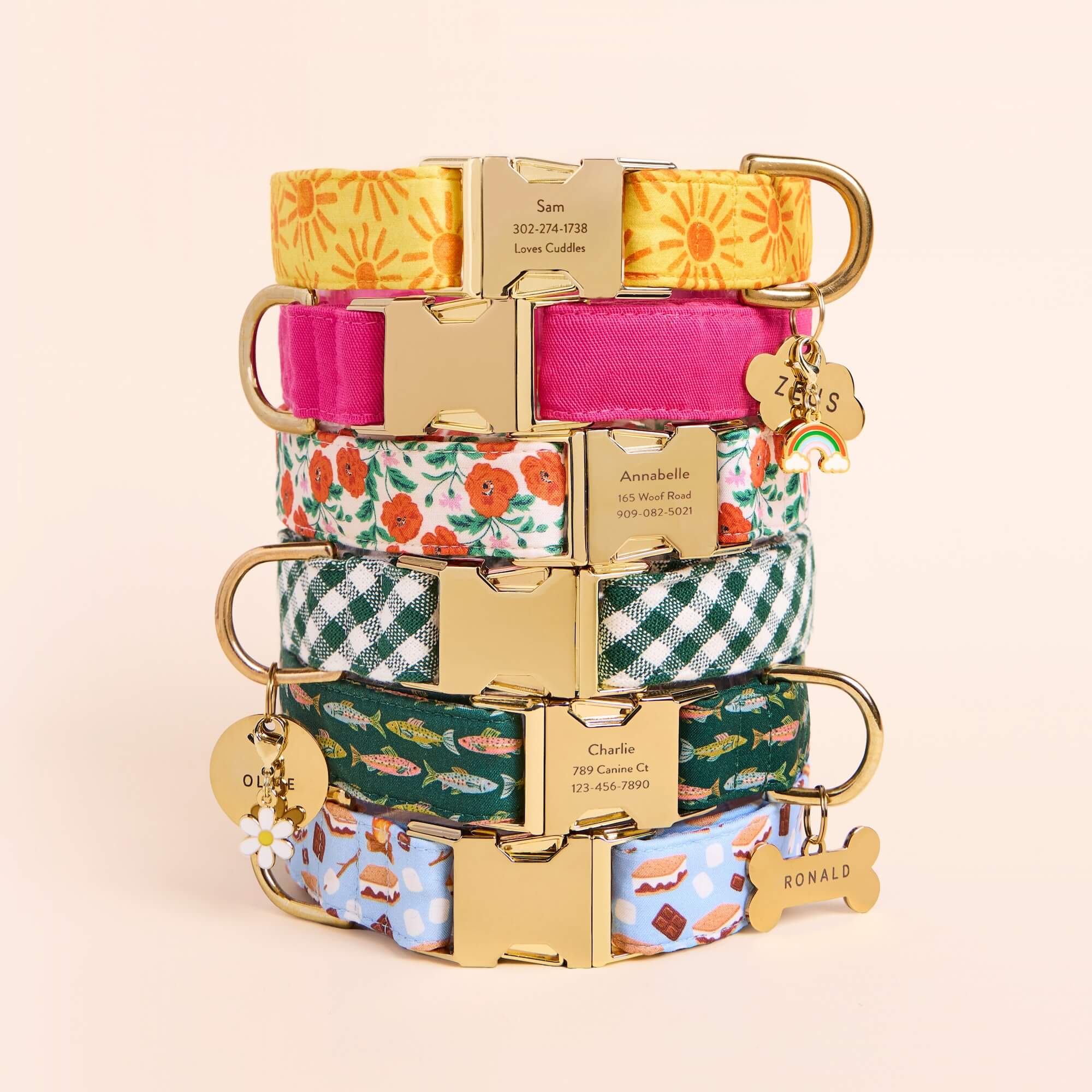 S’more to Love Dog Collar