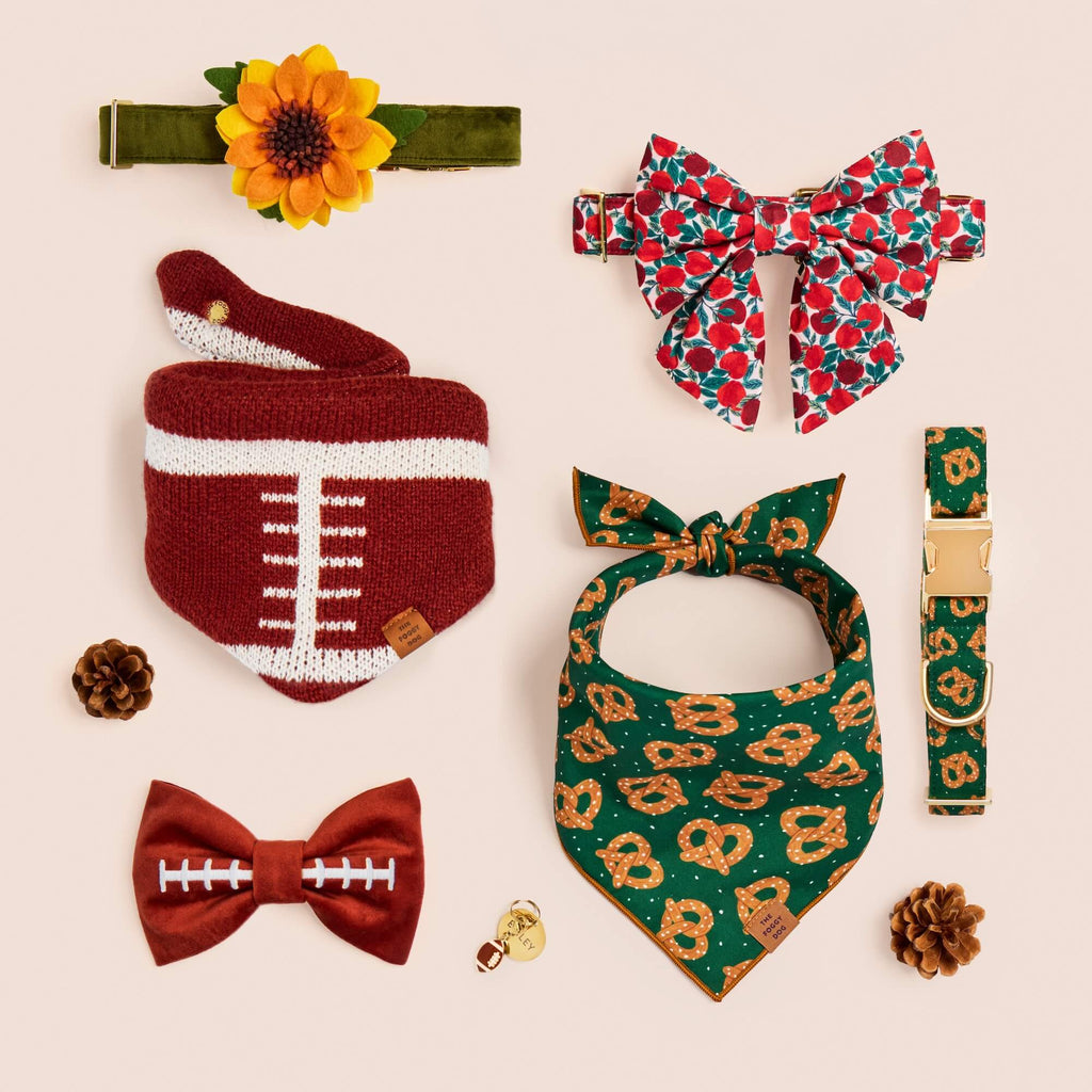 Pretzel Party Dog Collar