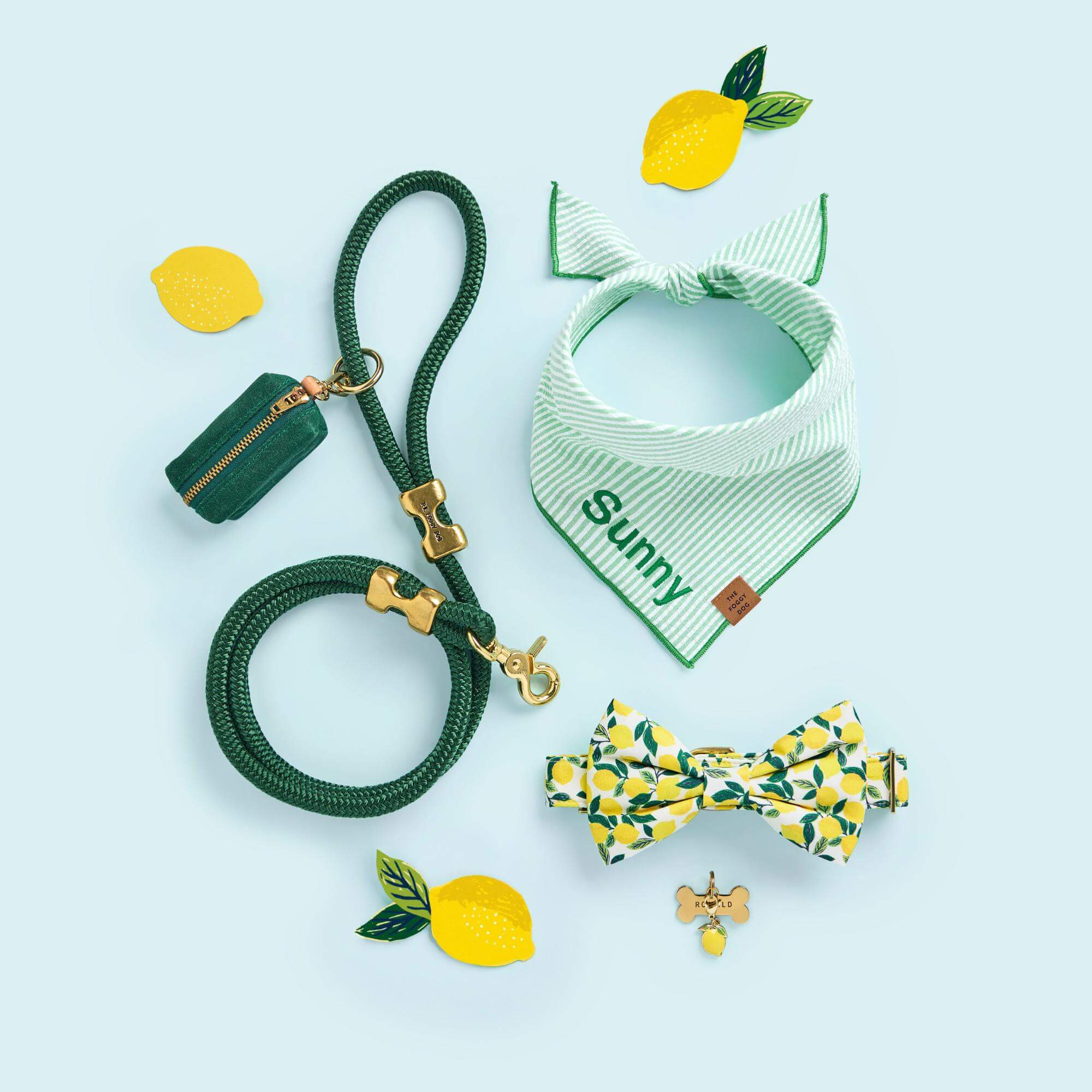 Lemon Zest Bow Tie Collar
