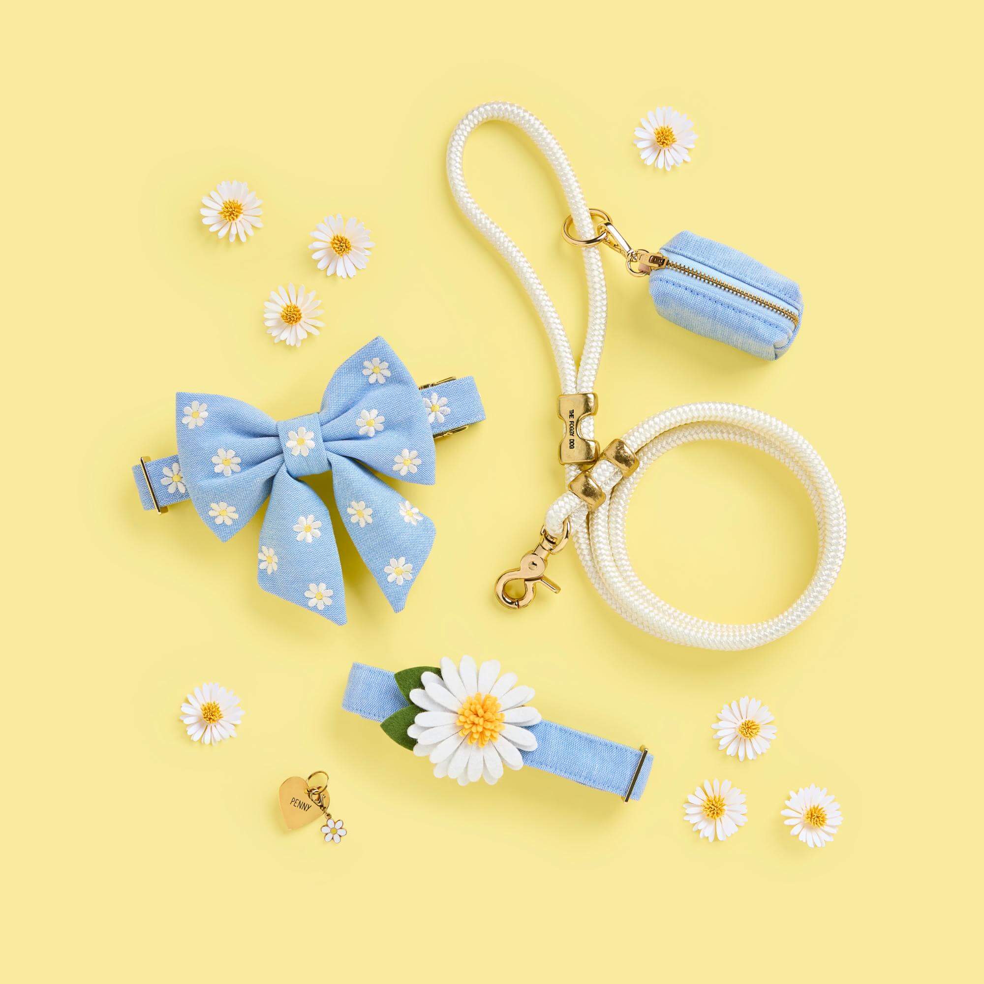 Blue Chambray Collar Walk Set