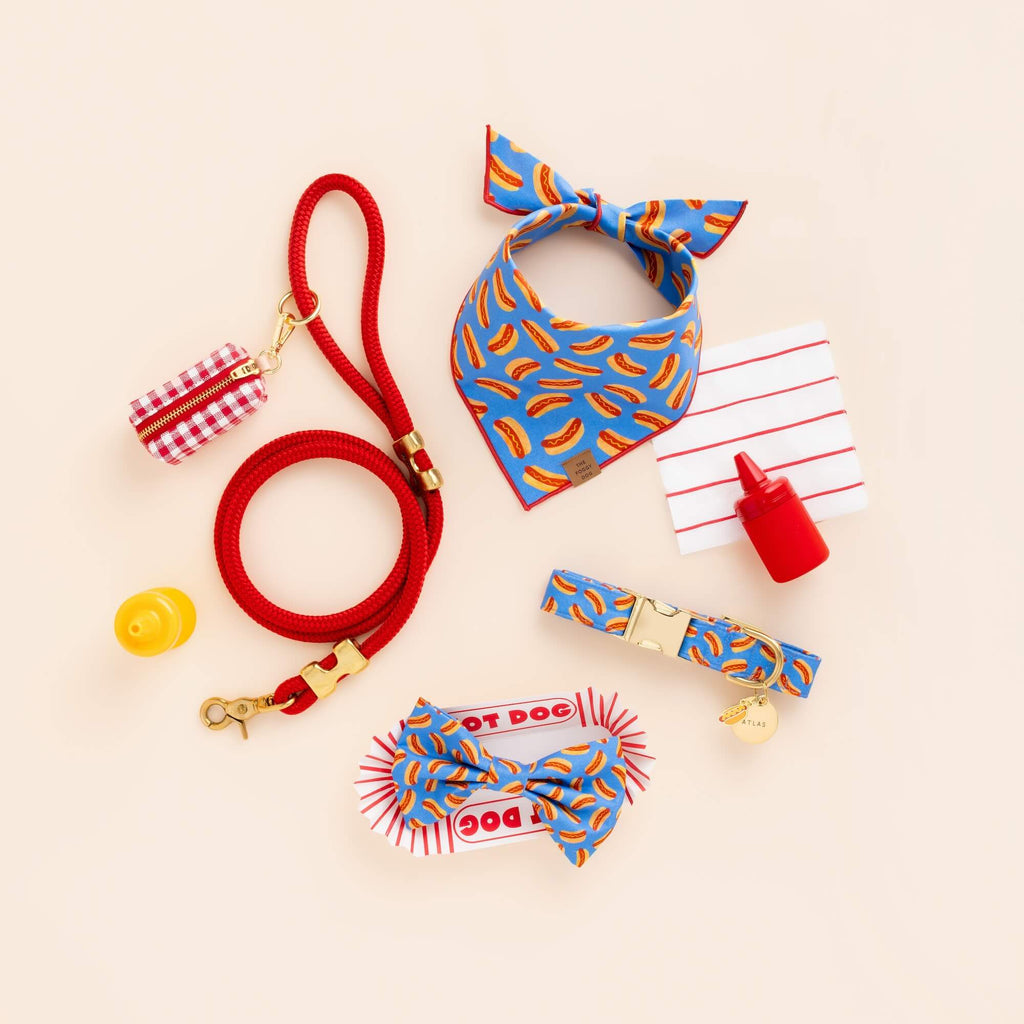 Hot Diggity Collar Walk Set