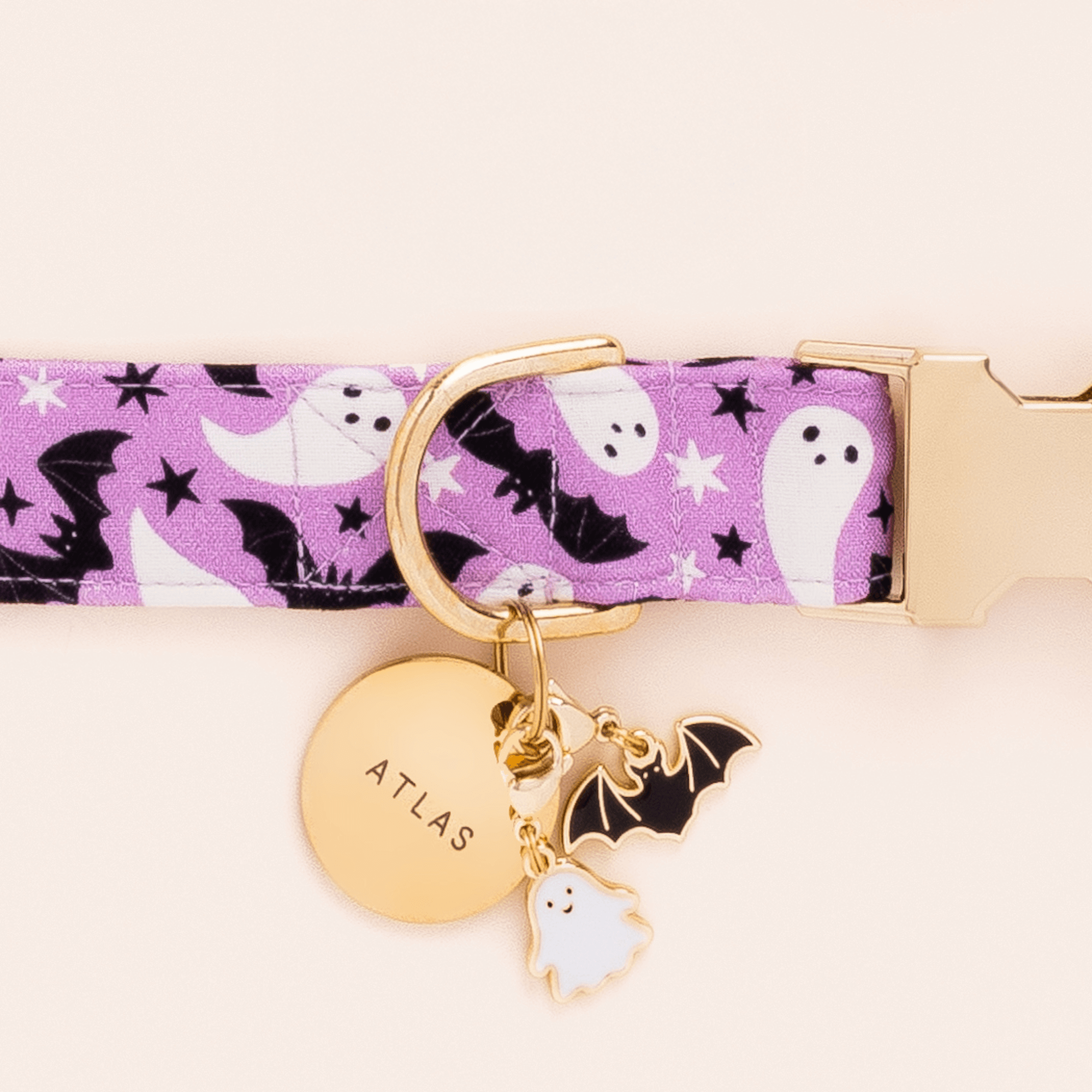 Bat Collar Charm