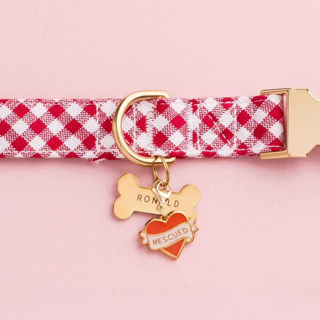 Rescued With Love Collar Charm
