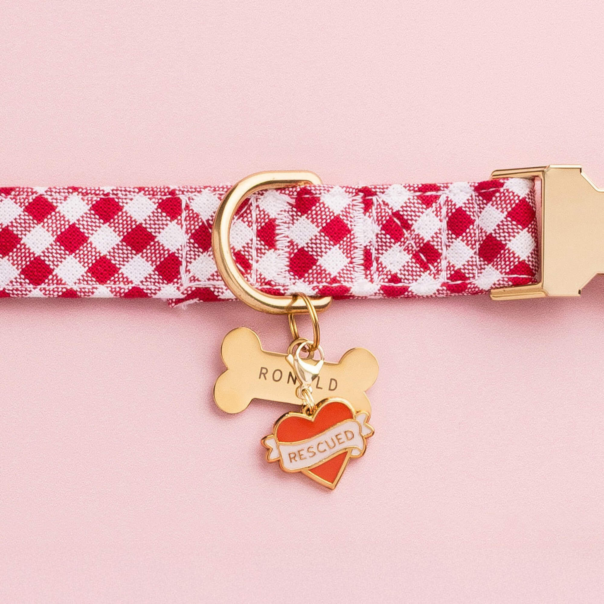 Rescued With Love Collar Charm