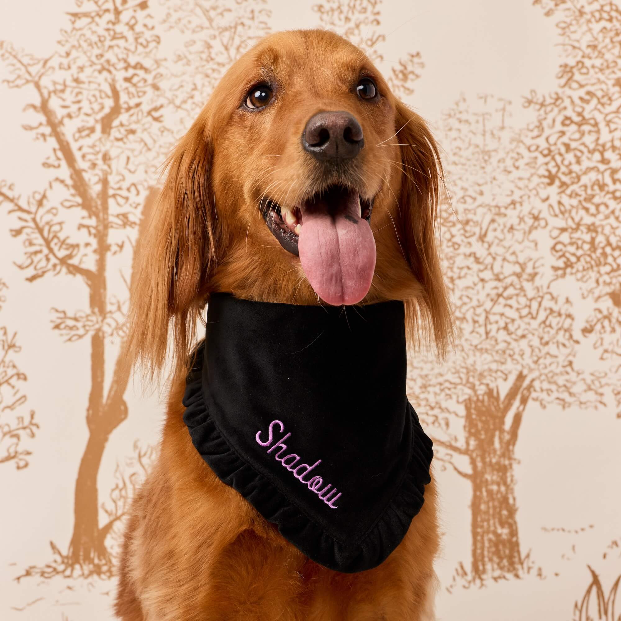 Black Velvet Ruffled Dog Bandana