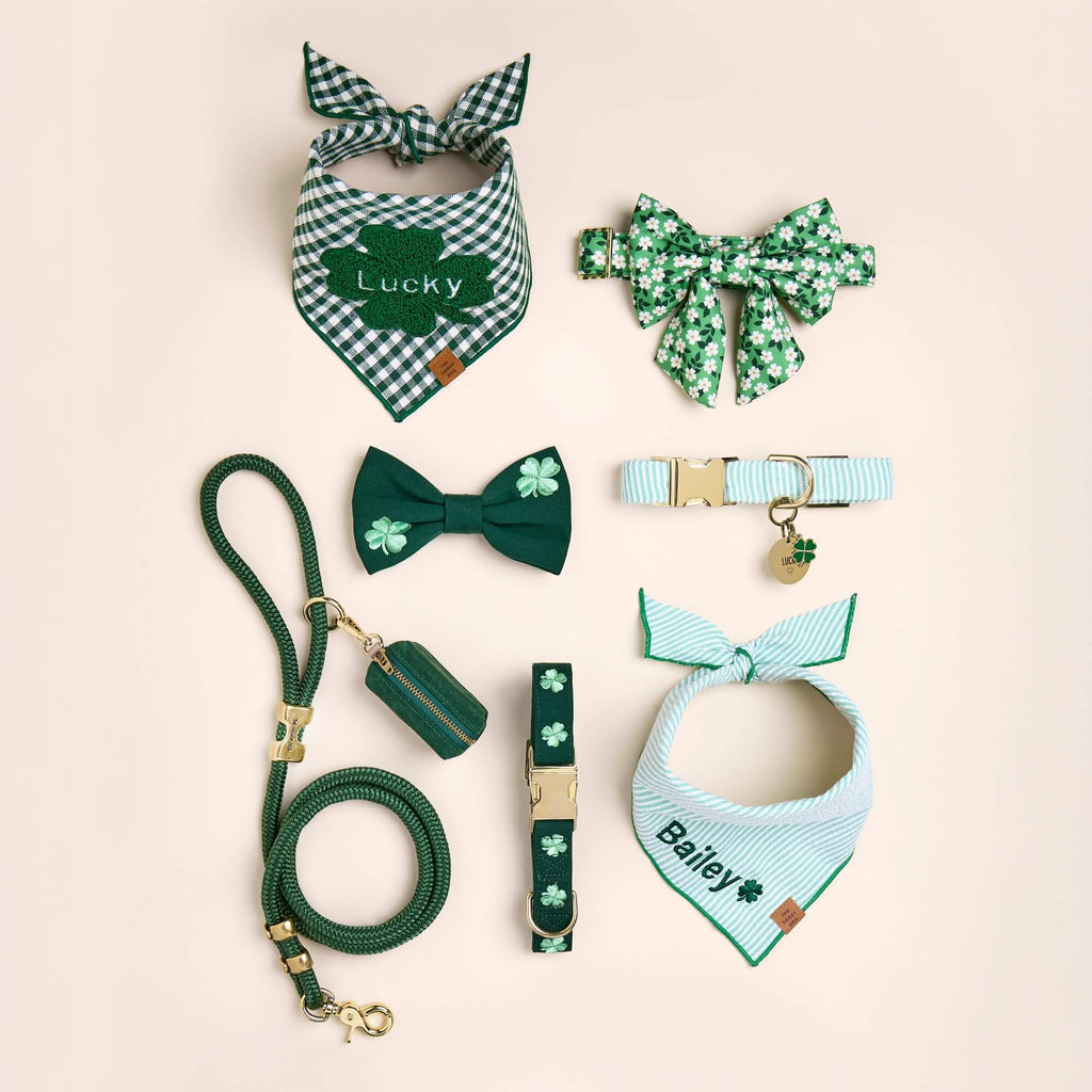 Clover Embroidered Collar Walk Set