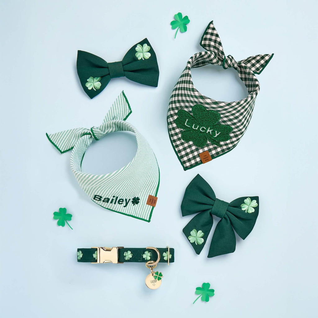 Lucky Clover Collar Charm