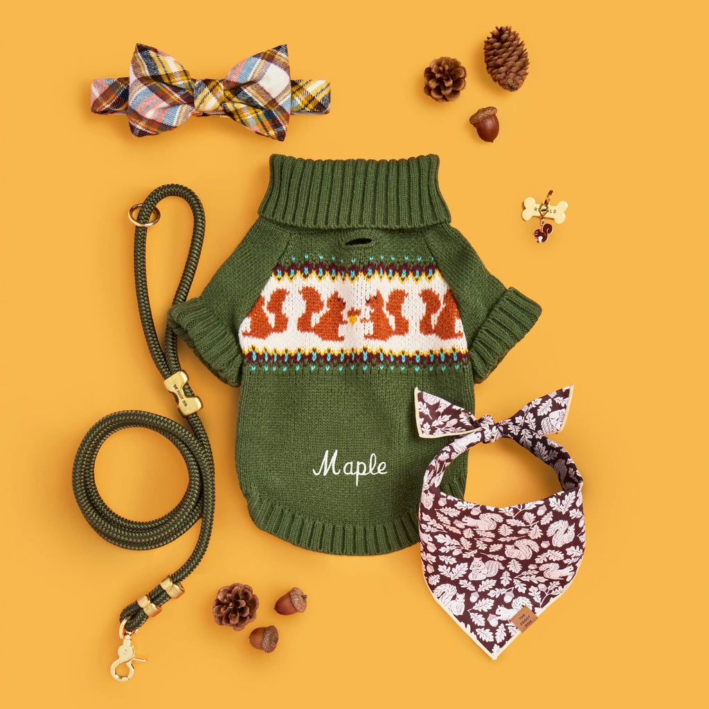 Squirrel Dog Sweater