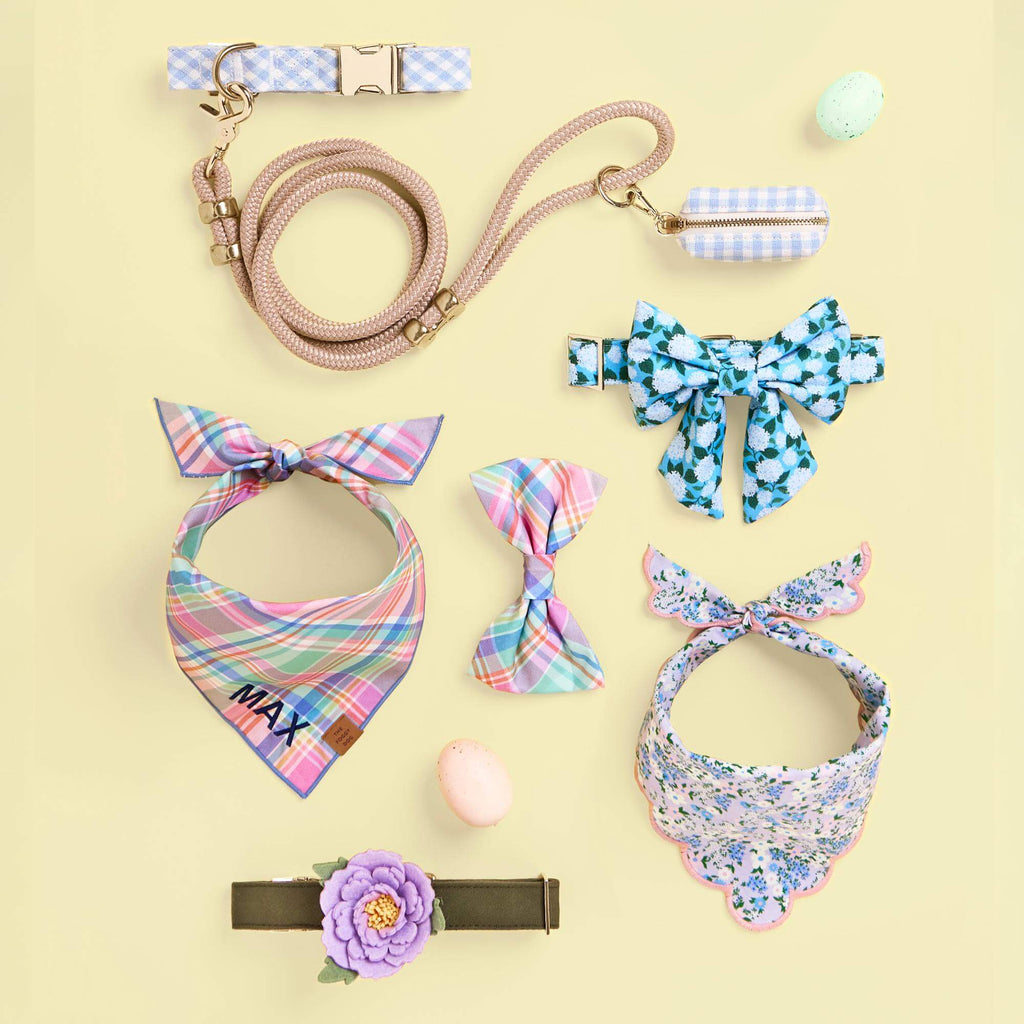 Sky Blue Gingham Collar Walk Set