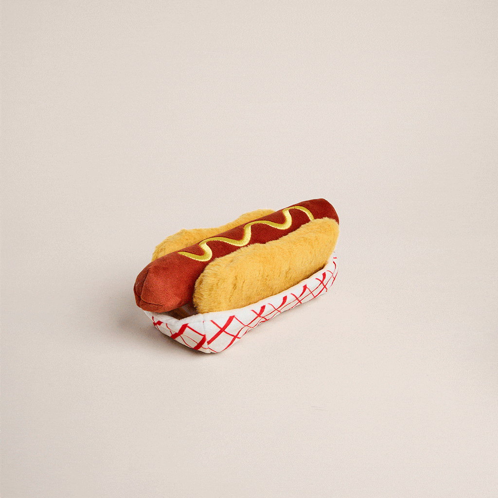 Hot off the Grill Interactive Toy Set
