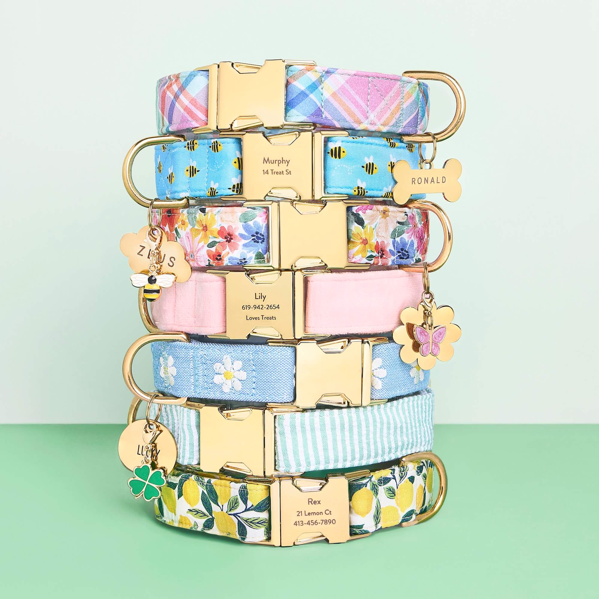 Daisy Embroidered Dog Collar
