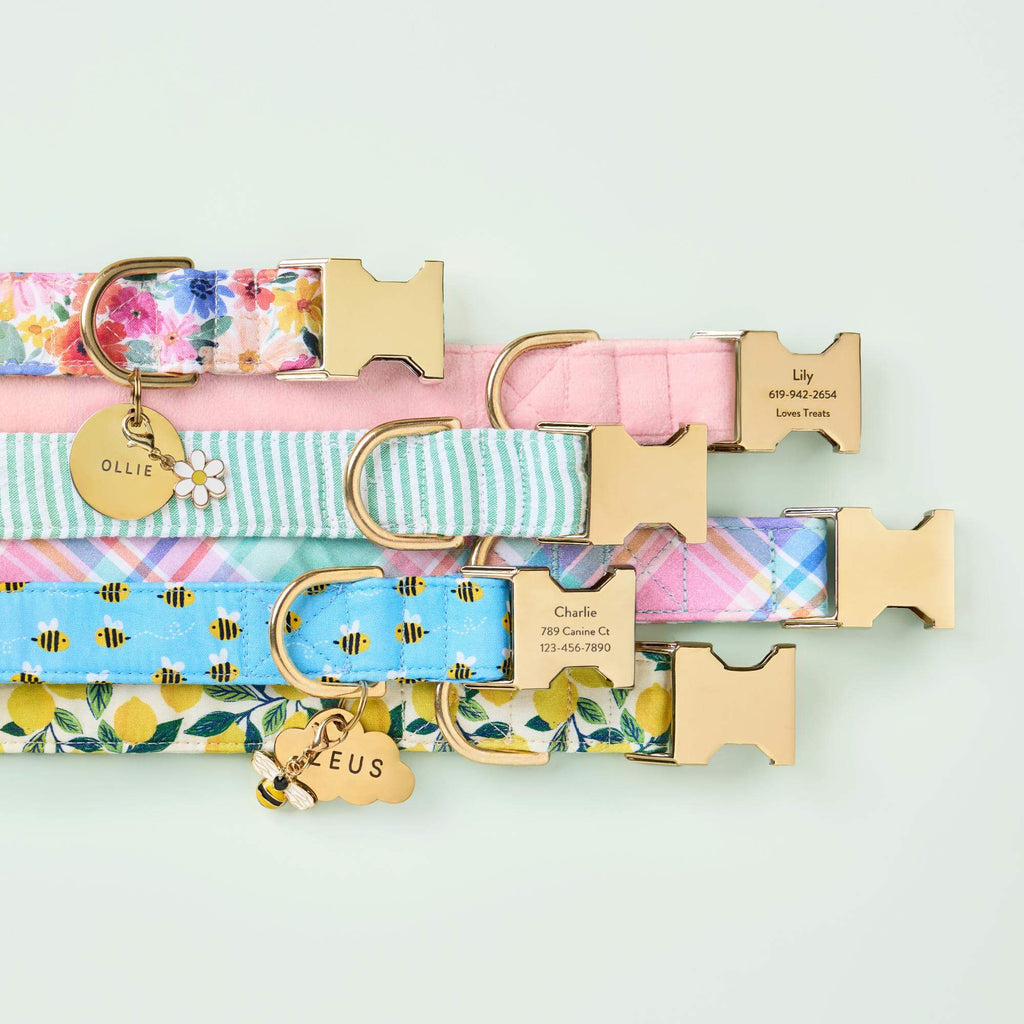 Margaux Dog Collar
