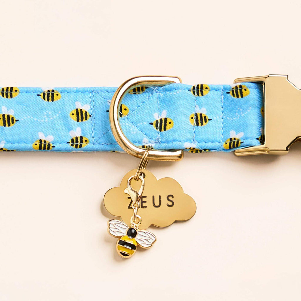 Sweet as Can Bee Dog Collar