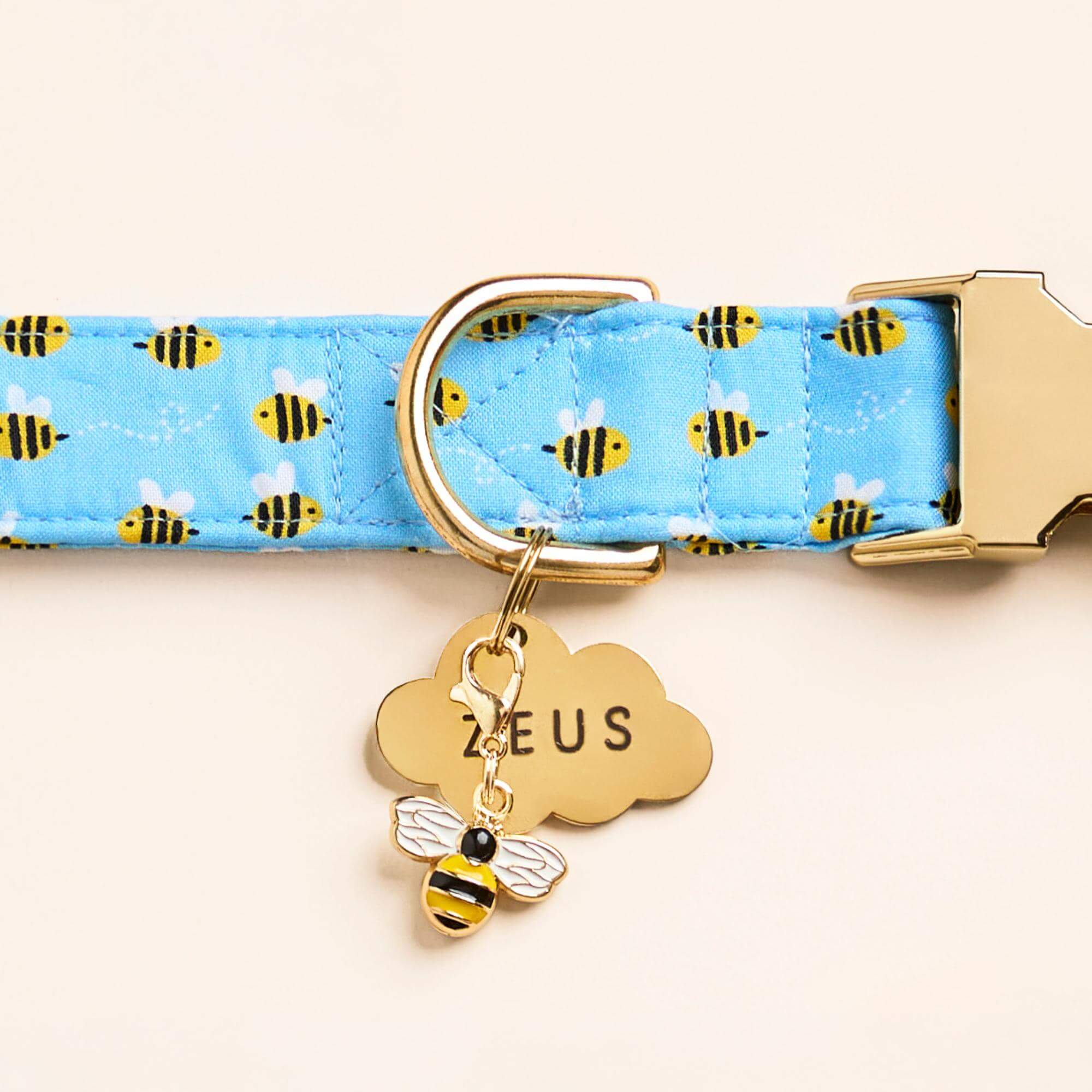 Sweet as Can Bee Dog Collar