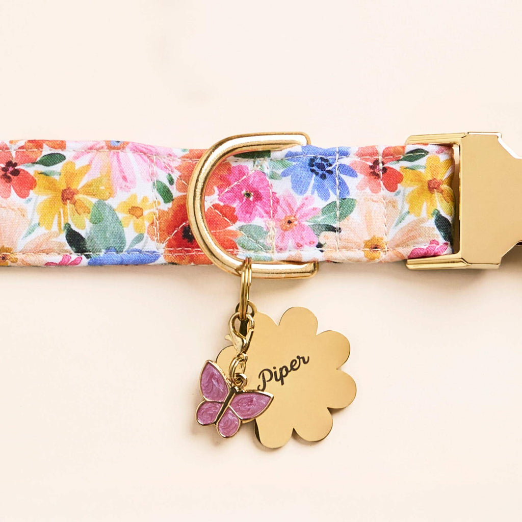 Margaux Dog Collar