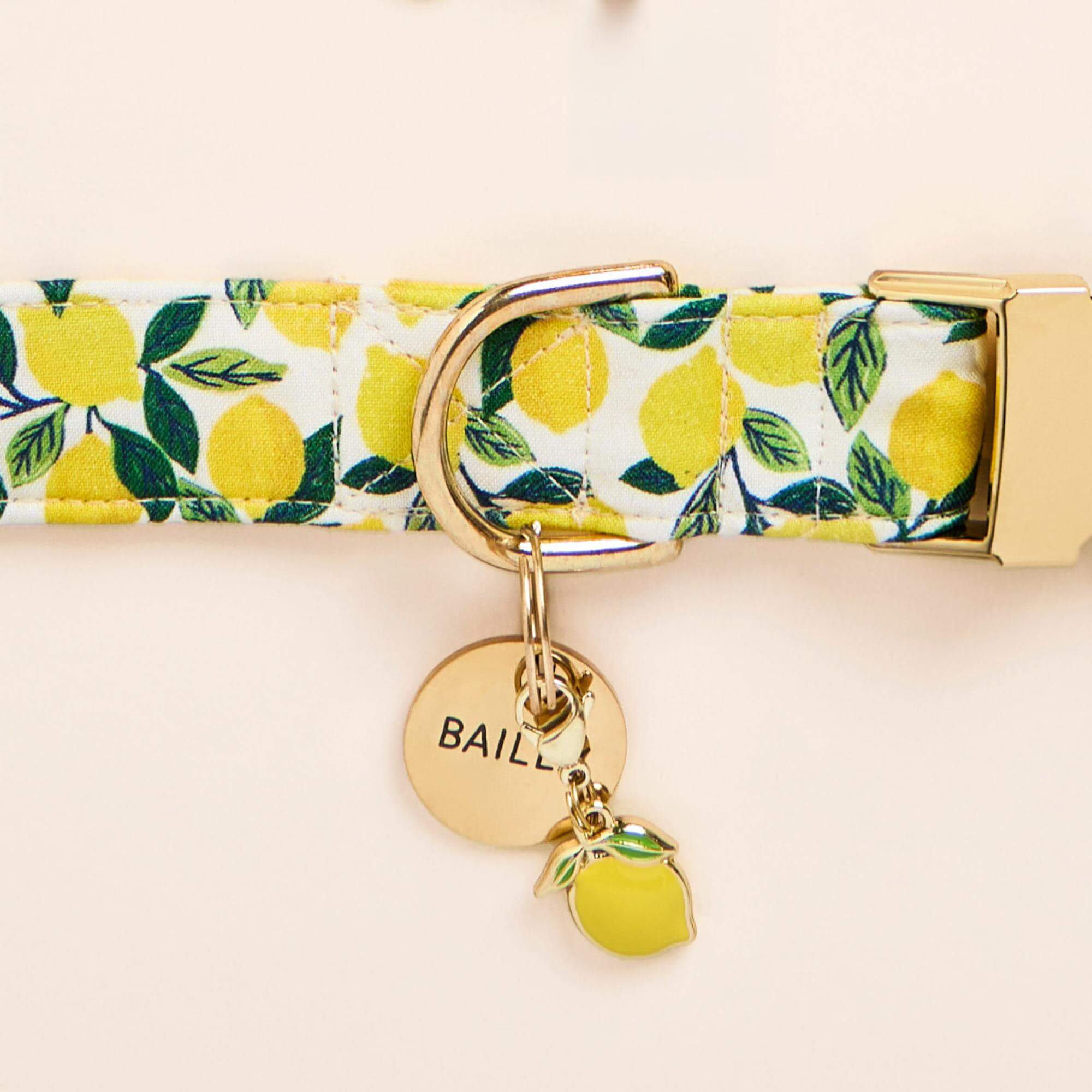 Lemon Zest Dog Collar