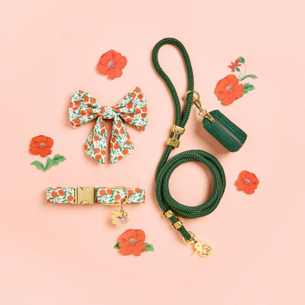 Golden Poppies Dog Collar
