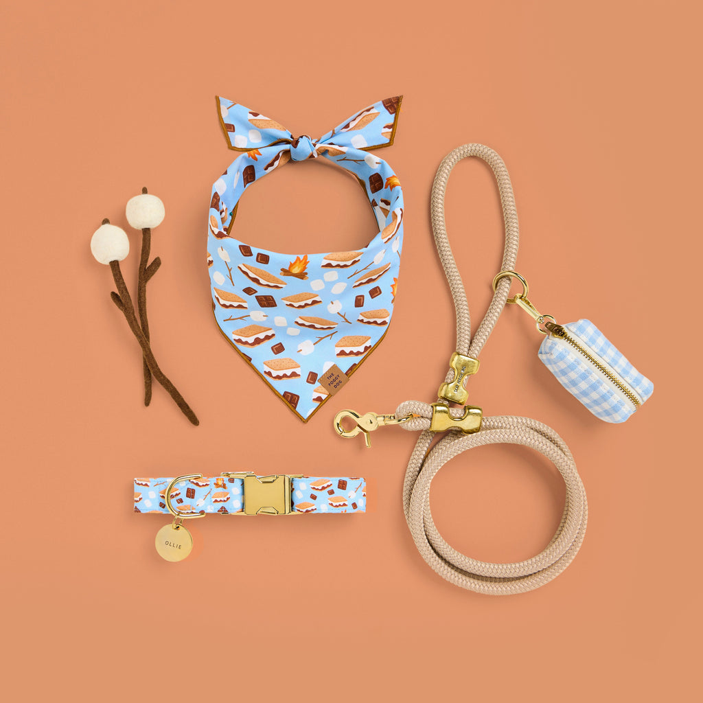 Sky Blue Gingham Collar Walk Set