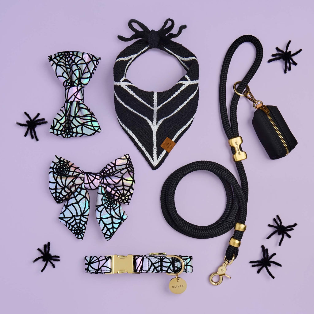 Holographic Spiderweb Lady Bow Collar