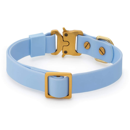 Active Flex Dog Collar, Alpine