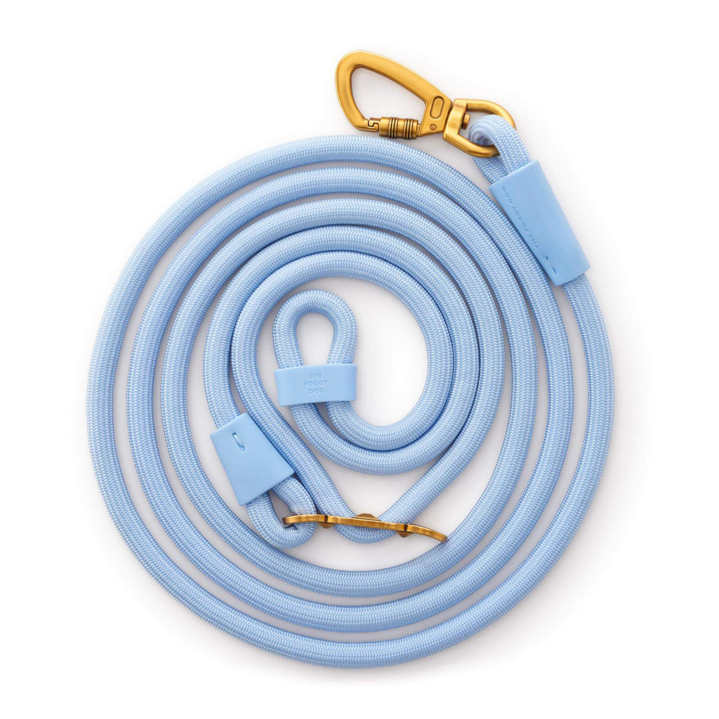 Active Hands-Free Dog Leash, Alpine