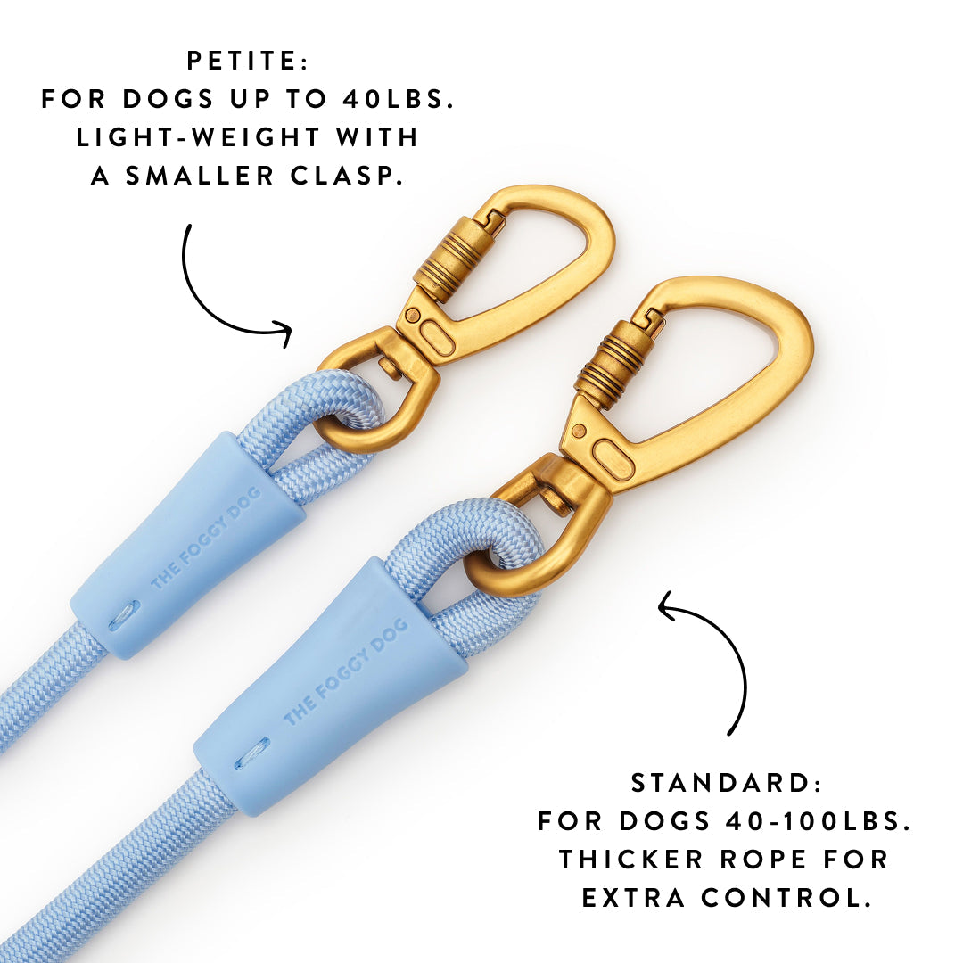 Active Hands-Free Dog Leash, Alpine
