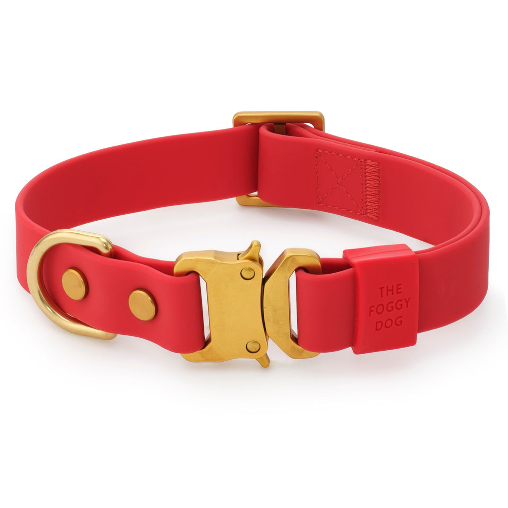 Active Flex Dog Collar, Ember