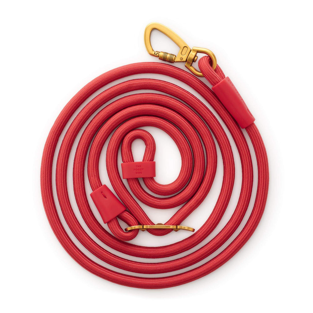 Active Hands-Free Dog Leash, Ember