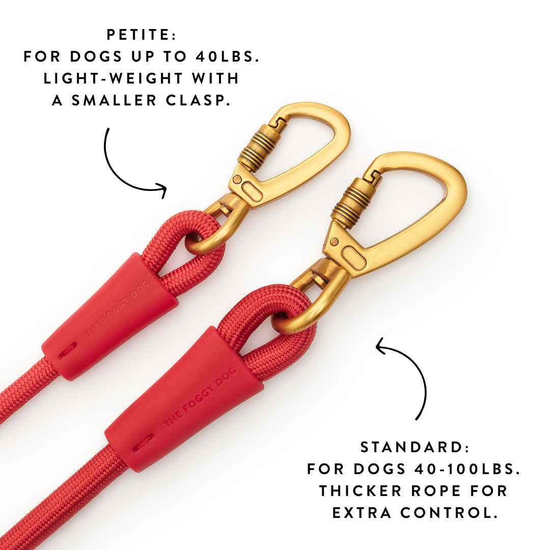 Active Hands-Free Dog Leash, Ember