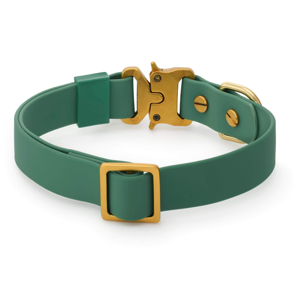 Active Flex Dog Collar, Fern