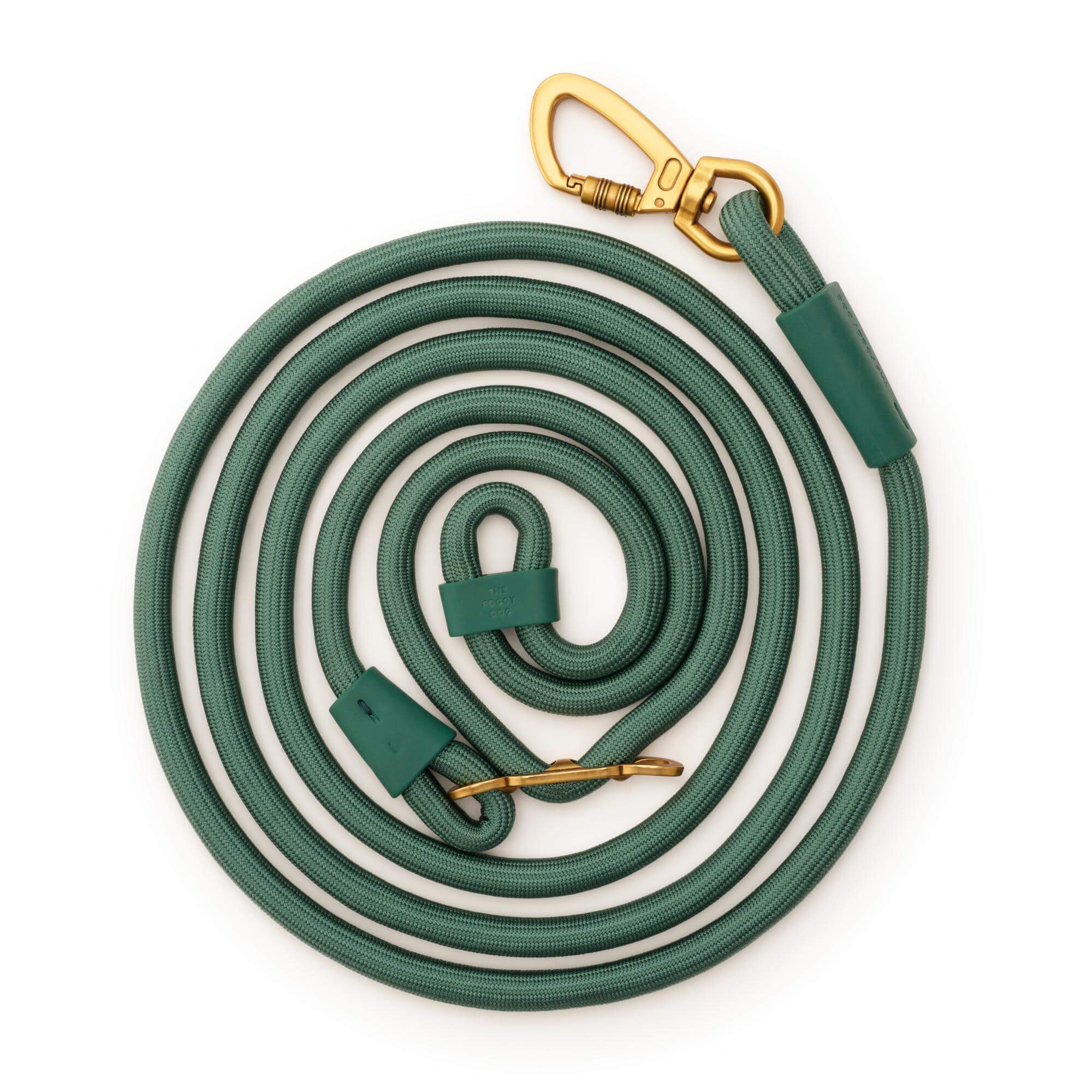 Active Hands-Free Dog Leash, Fern