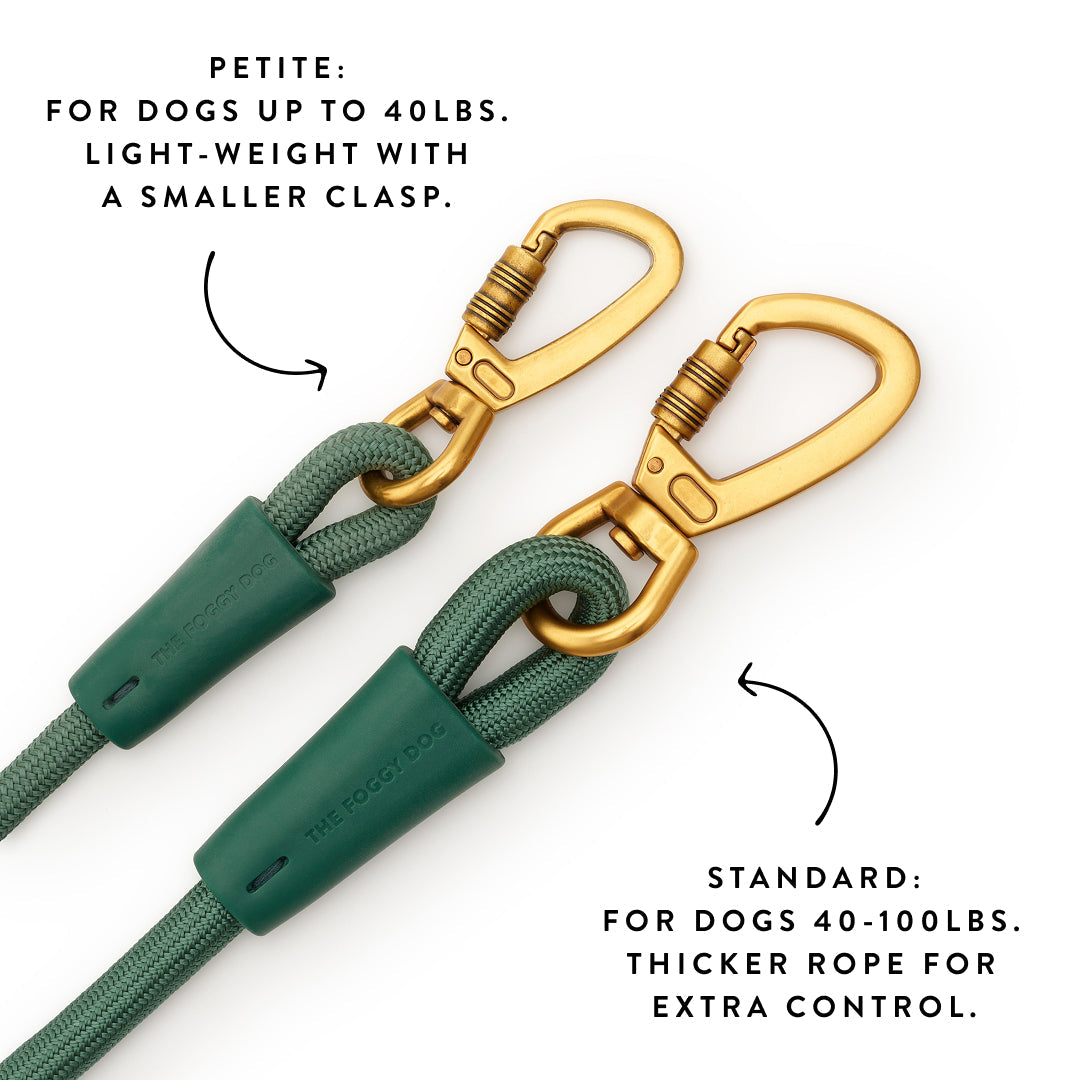 Active Adventure Walk Set, Fern