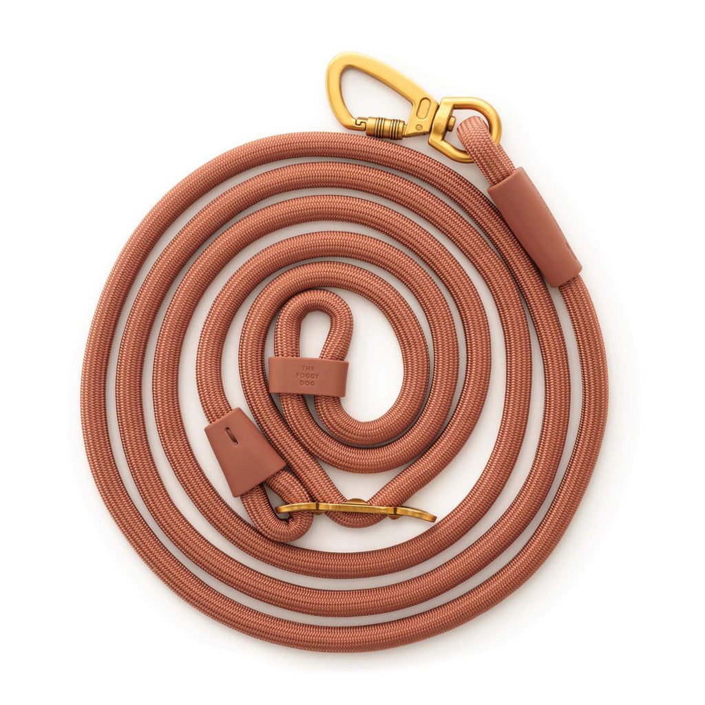 Active Hands-Free Dog Leash, Saddle