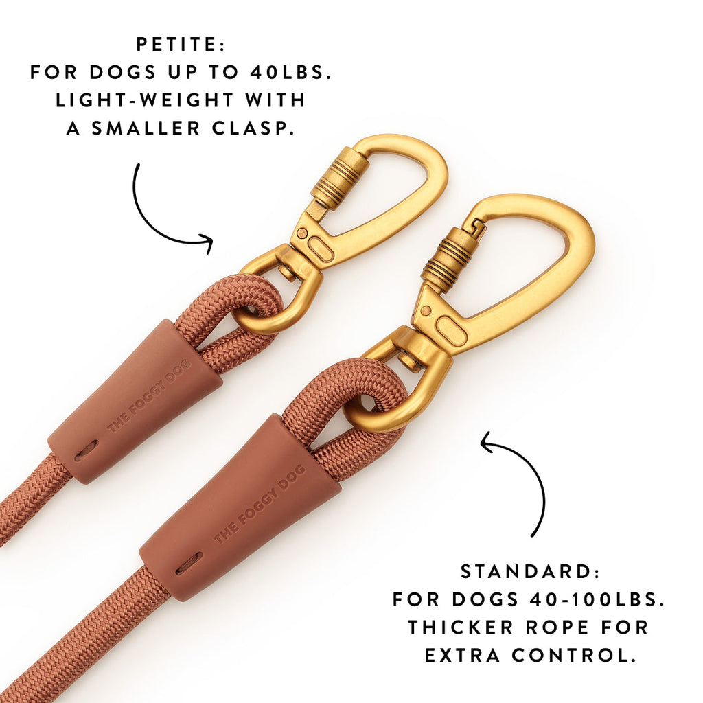 Active Adventure Walk Set, Saddle