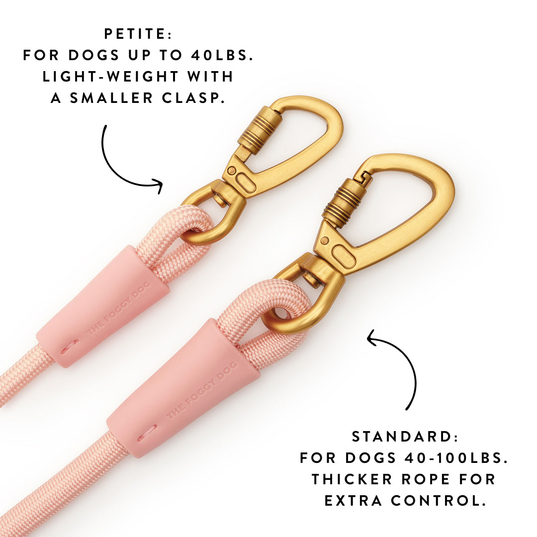 Active Hands-Free Dog Leash, Shell