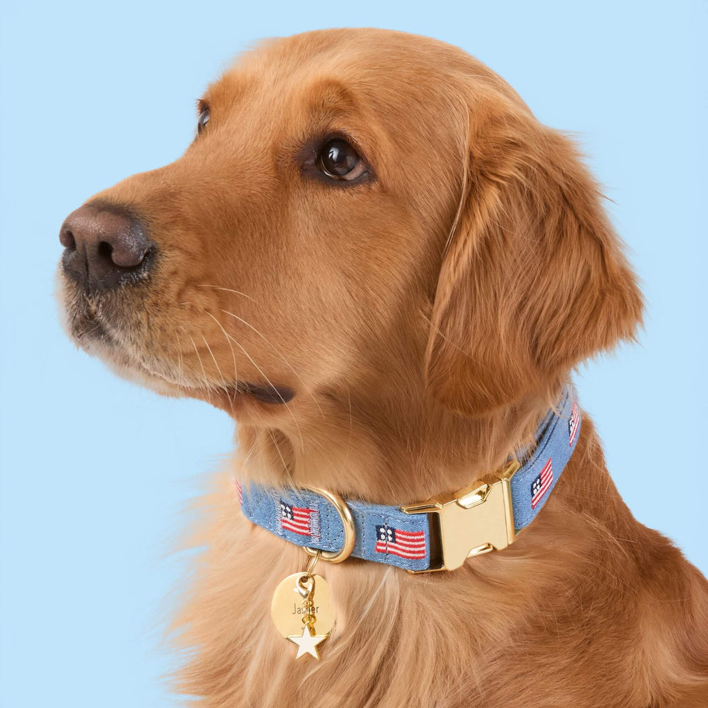 American Flag Embroidered Dog Collar