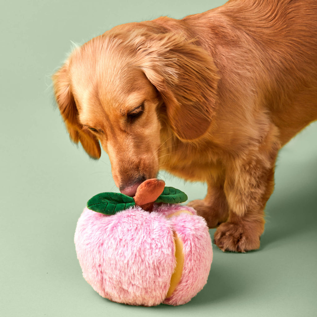 Sweet as Pie Interactive Toy Set