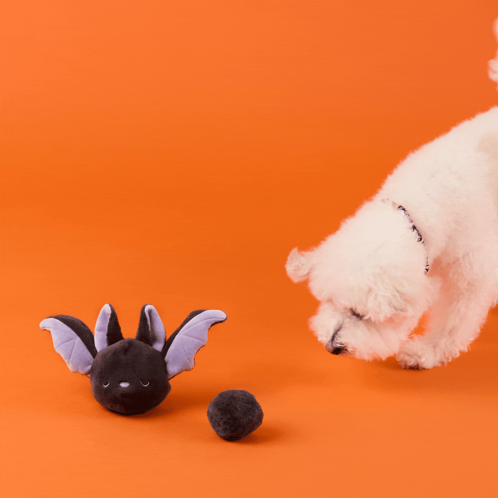 Bat 2-in-1 Bounce Dog Toy