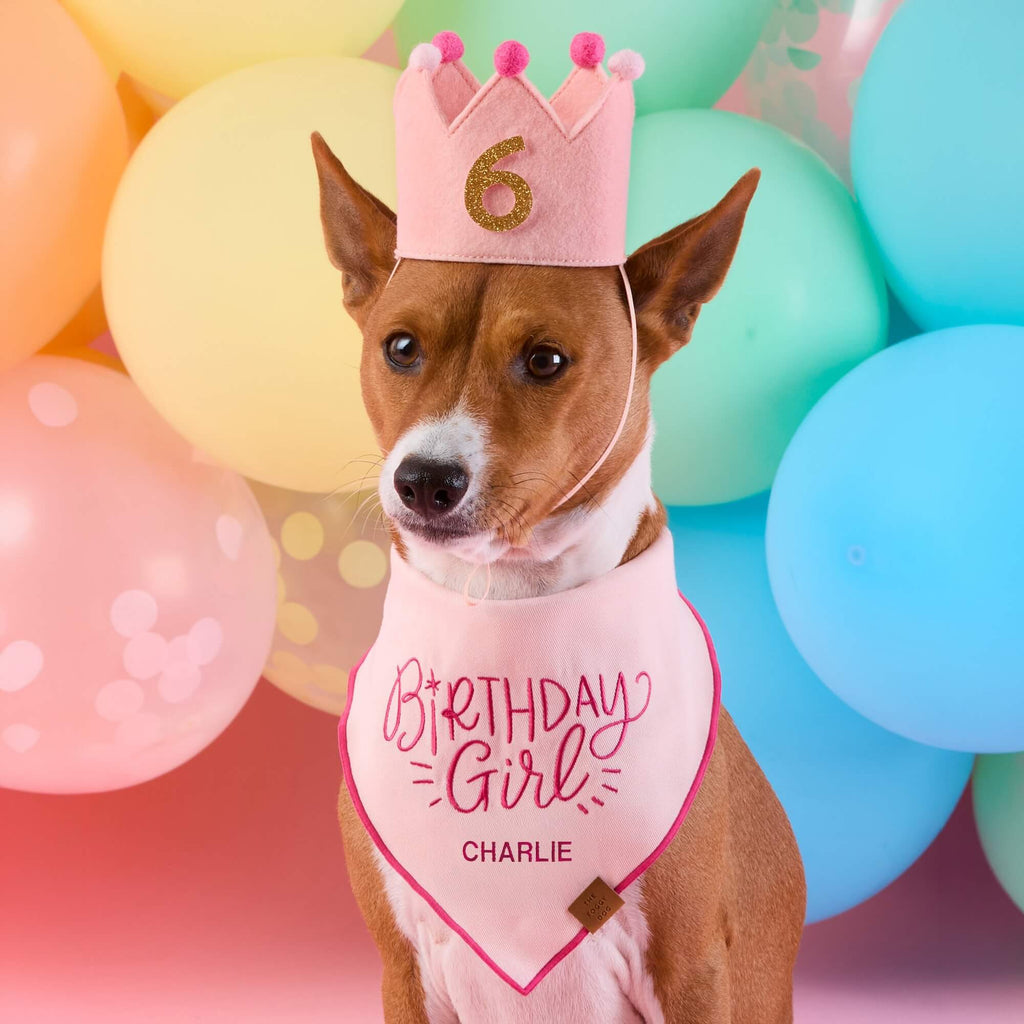 Birthday Girl Embroidered Dog Bandana