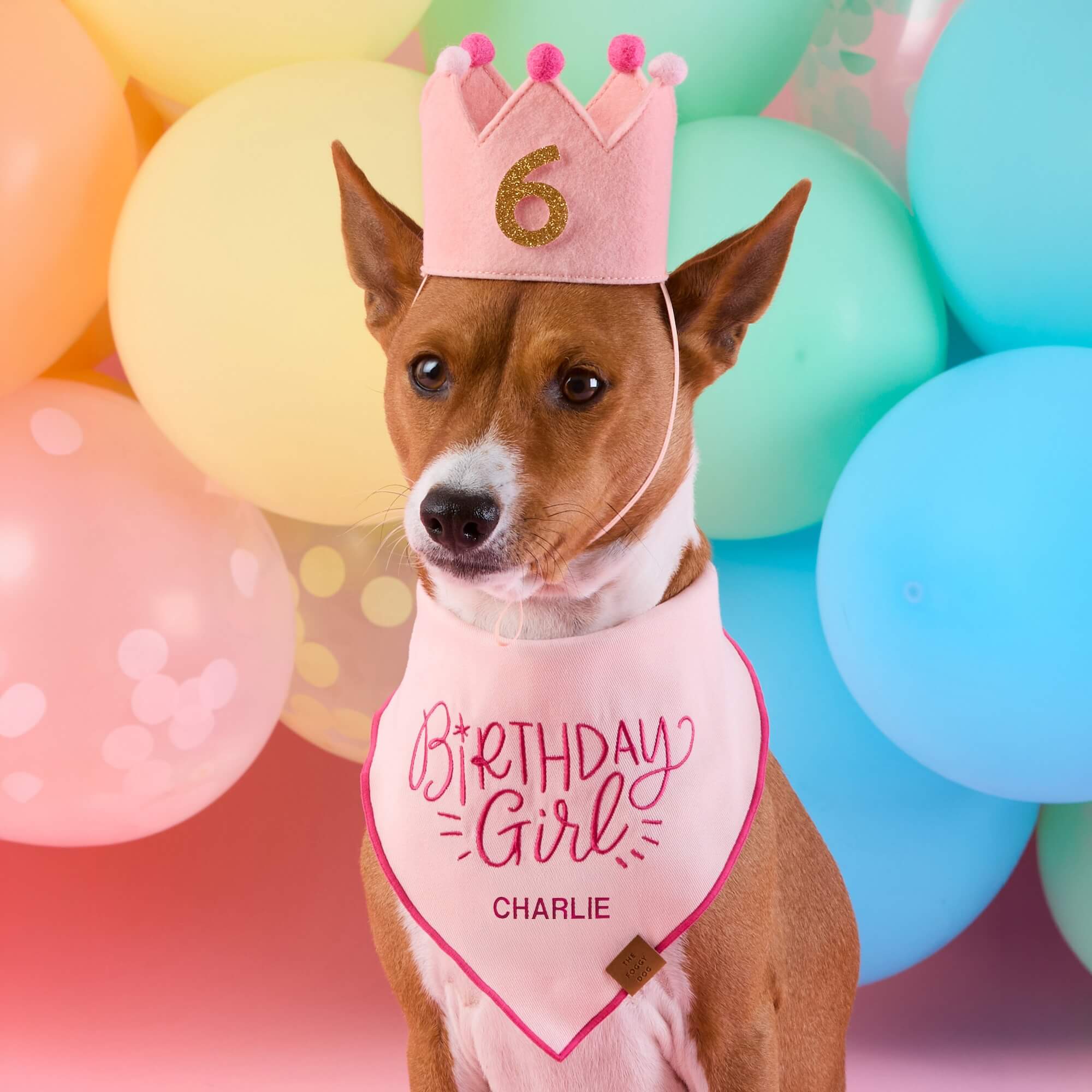 Birthday Girl Embroidered Dog Bandana